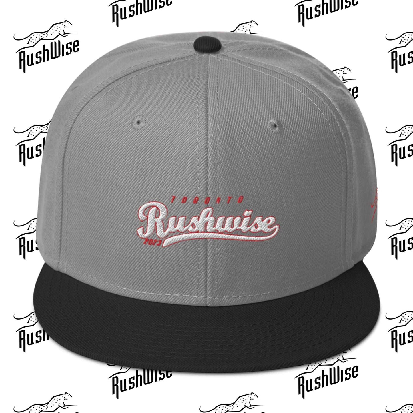 RushWise Snapback Hat