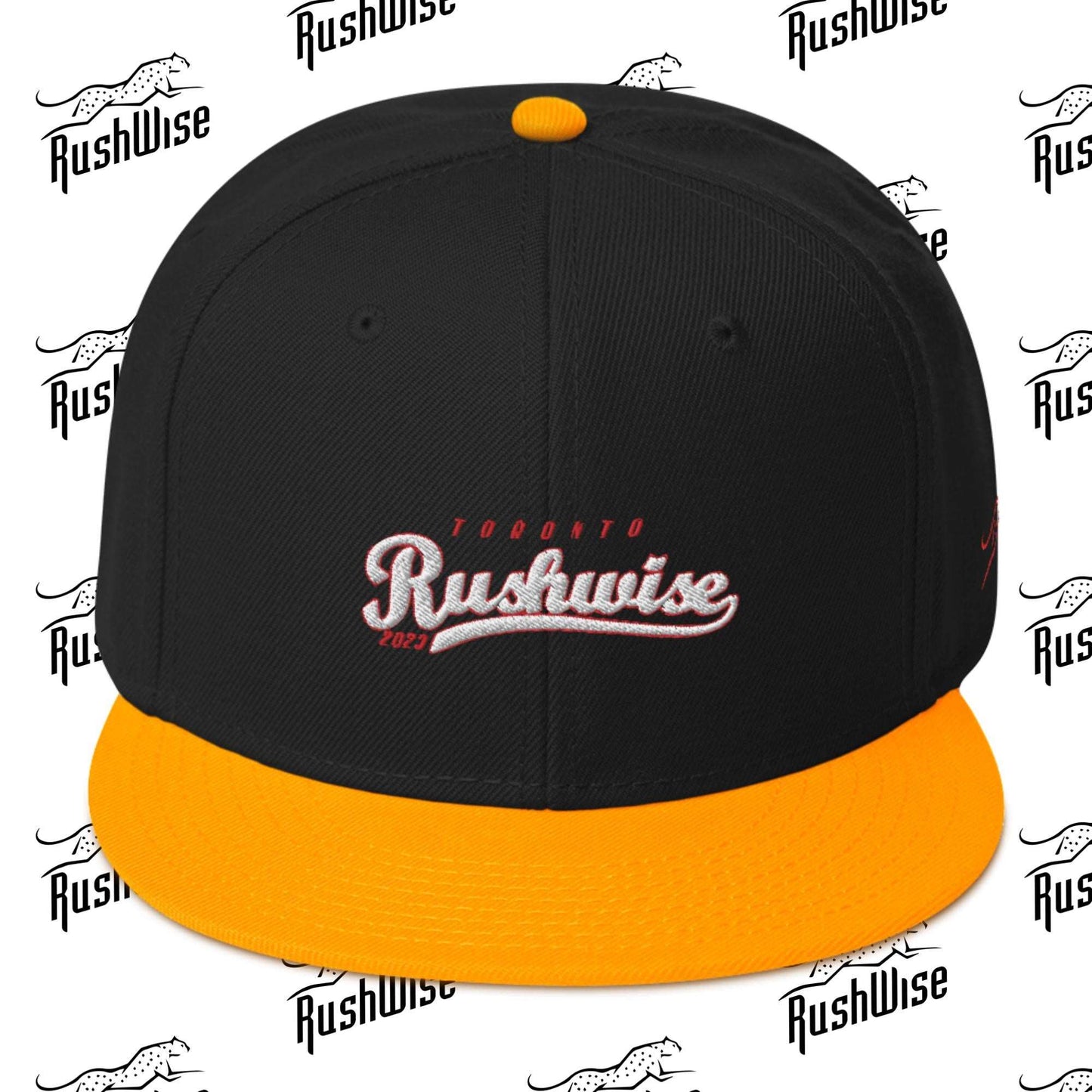 RushWise Snapback Hat