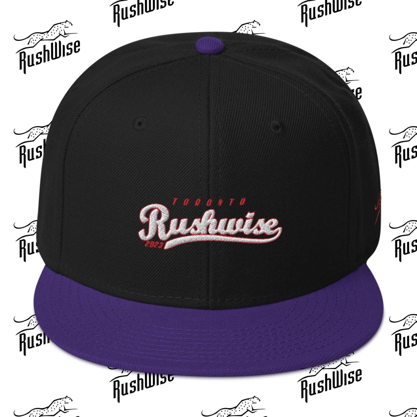 RushWise Snapback Hat